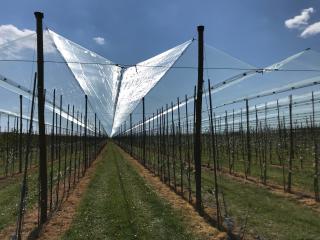 Ochrona_przeciwgrdowa_Biala_Rawska_3