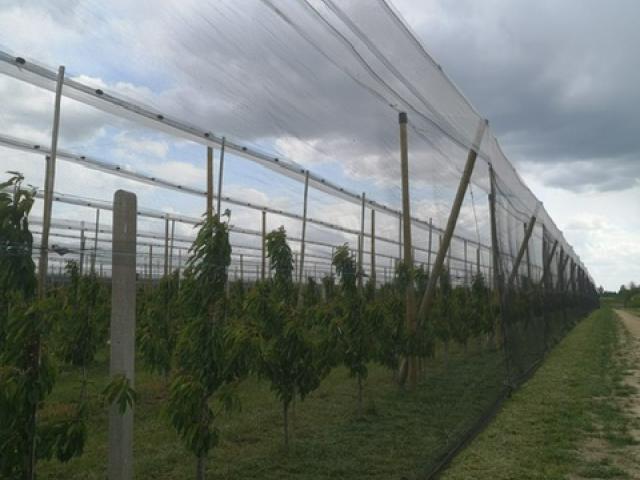 Konstrukcja_przeciwgradowa_Piła_3