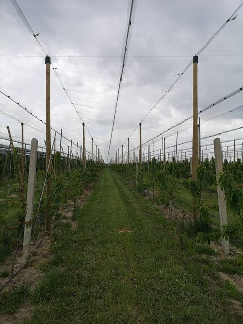 Konstrukcja_przeciwgradowa_Piła_2