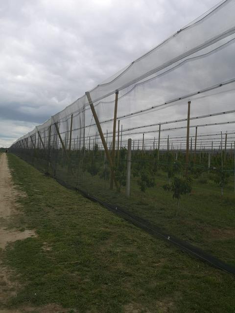 Konstrukcja_przeciwgradowa_Piła_4