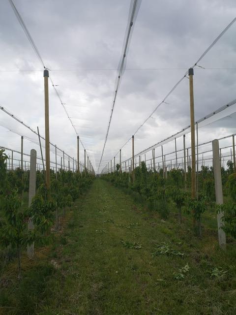 Konstrukcja_przeciwgradowa_Piła_5