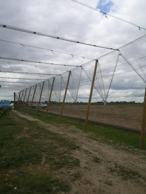 Konstrukcja_przeciwgradowa_Piła_6