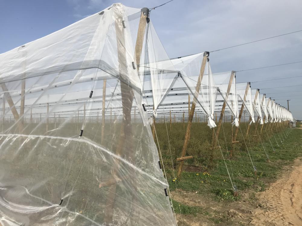 Konstrukcja_przeciwgradowa_borowka_2024_1