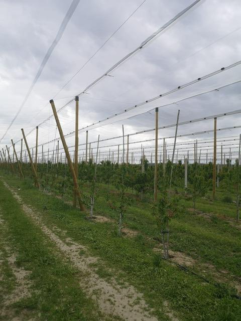 Konstrukcja_przeciwgradowa_Piła_7