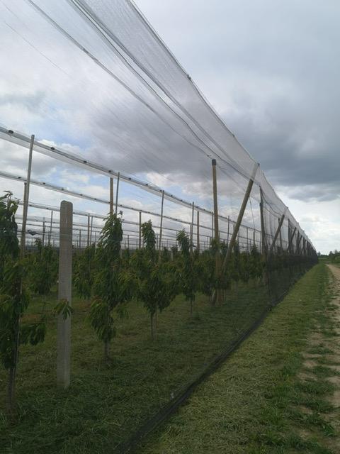 Konstrukcja_przeciwgradowa_Piła_3