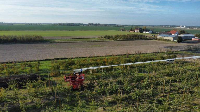 Konstrukcja_przeciwgradowa_czeresnia_srem