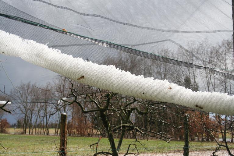grad na siatce przeciwgradowej