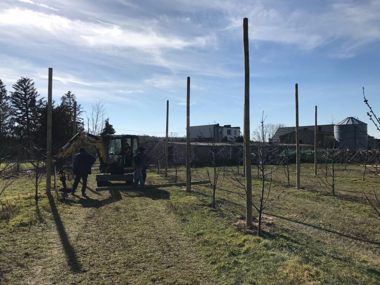 Konstrukcja sadownicza na czereśni JB Plus