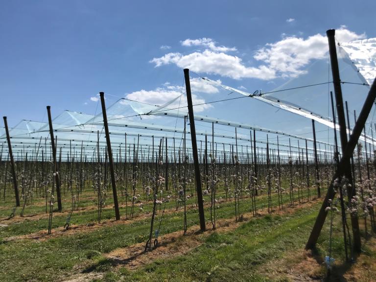 Ochrona_przeciwgrdowa_Biala_Rawska_3