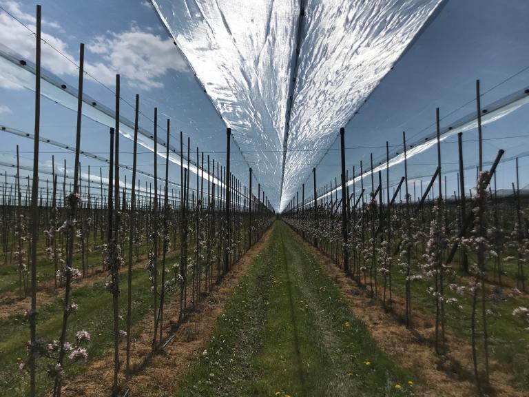 Ochrona_przeciwgrdowa_Biala_Rawska_3